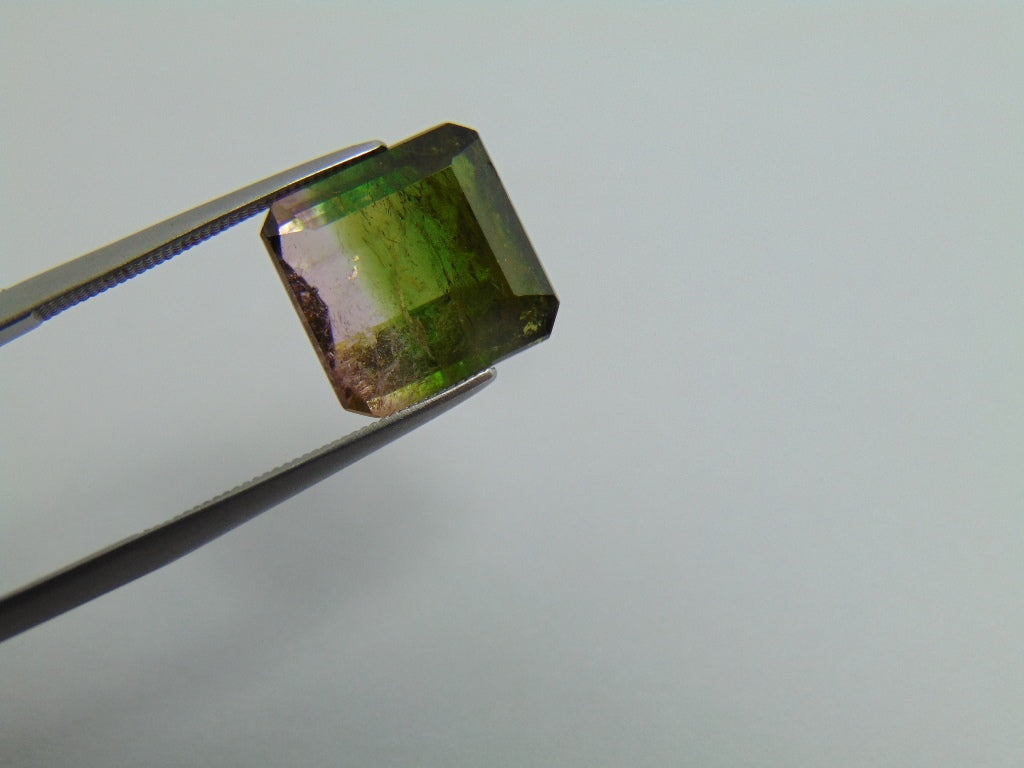 7.95cts Tourmaline (Bicolor)