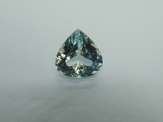 23.80ct Topaz Natural Color 18x17mm