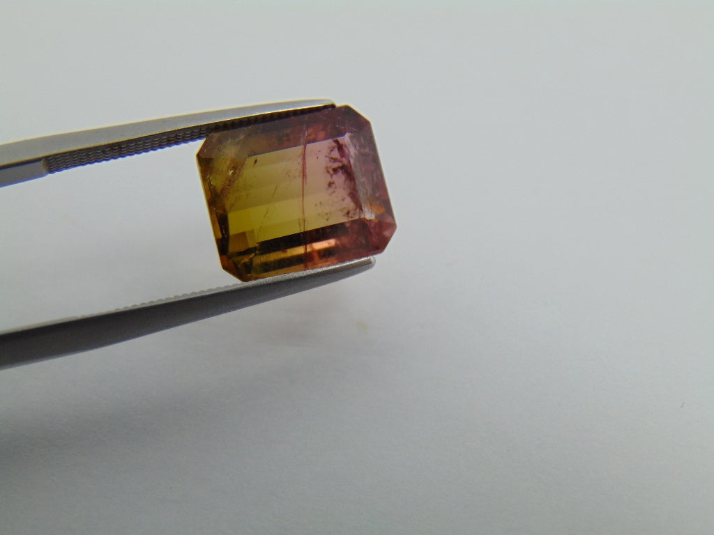 5.55cts Tourmaline (Bicolor)