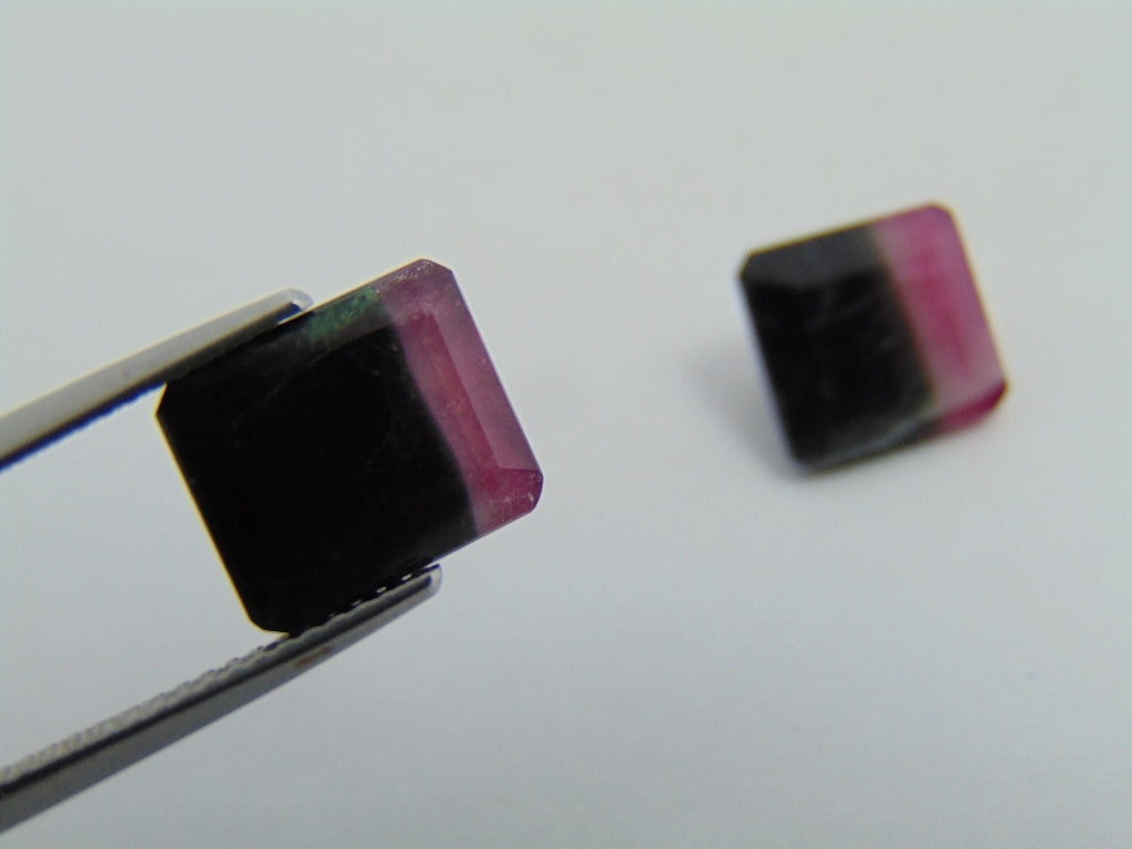 10.10ct Tourmaline Bicolor