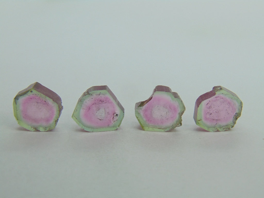 22.25cts Watermelon Tourmaline