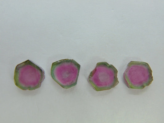 22.25cts Watermelon Tourmaline