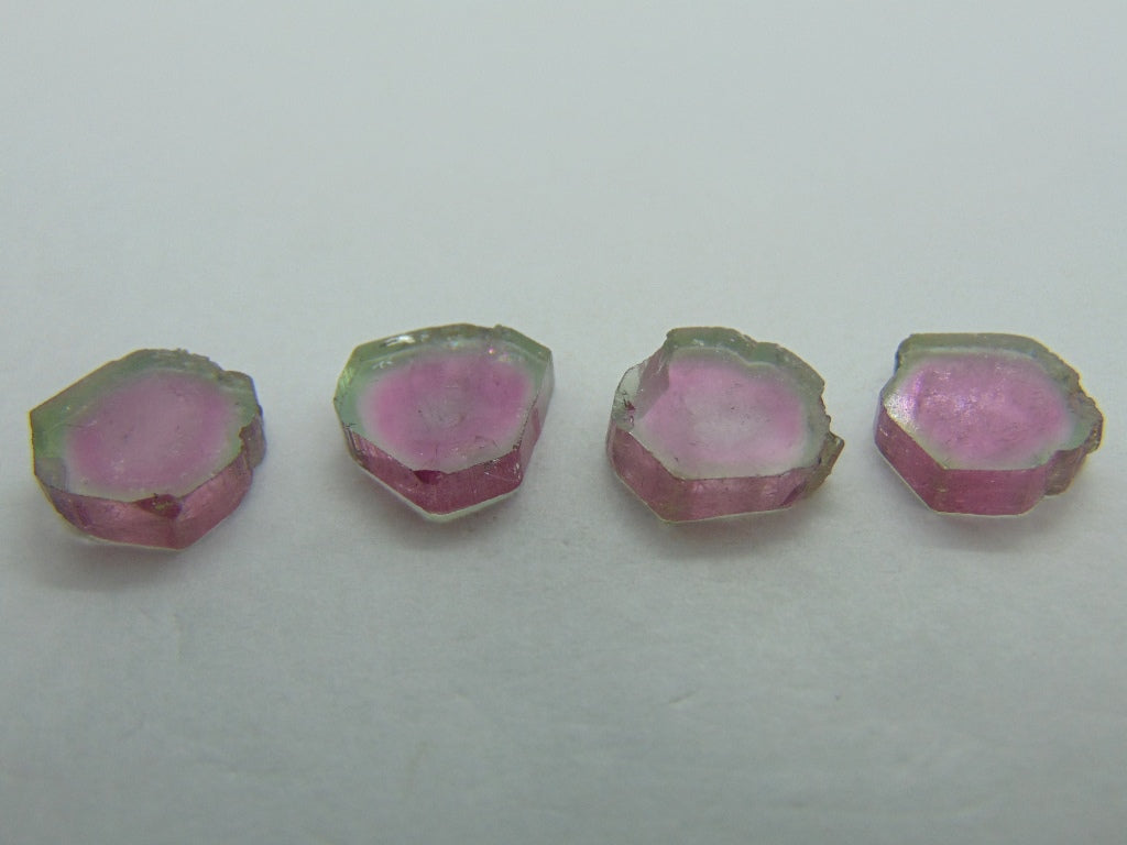 22.25cts Watermelon Tourmaline