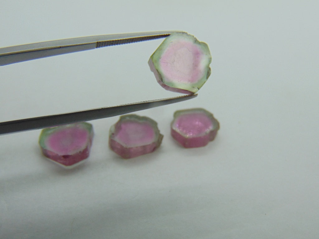 22.25cts Watermelon Tourmaline