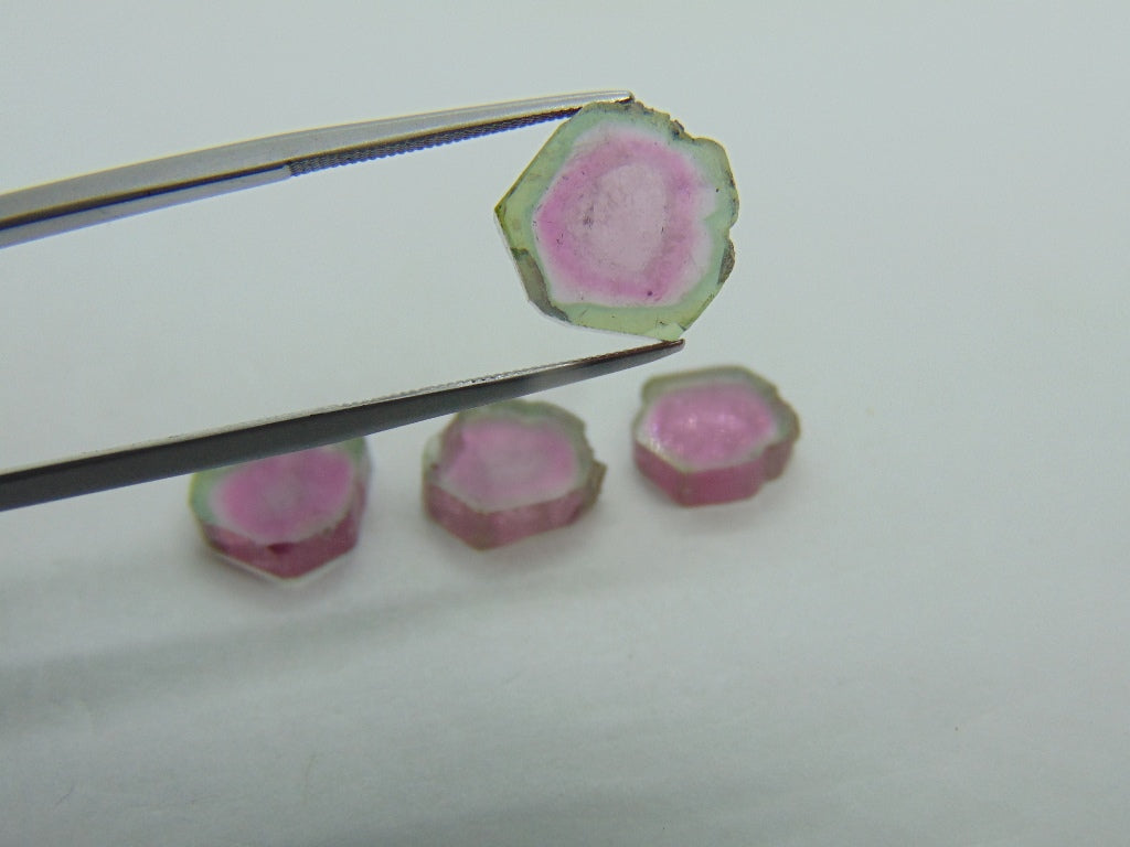 22.25cts Watermelon Tourmaline