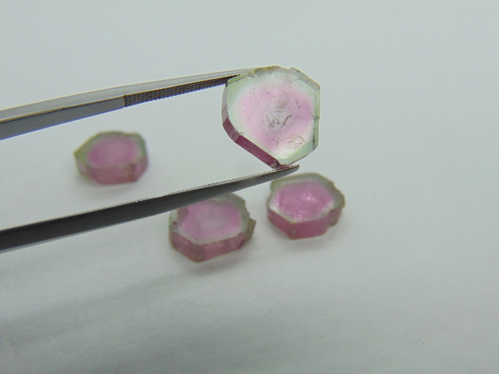 22.25cts Watermelon Tourmaline