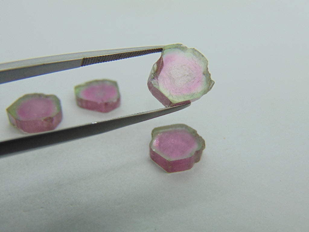 22.25cts Watermelon Tourmaline