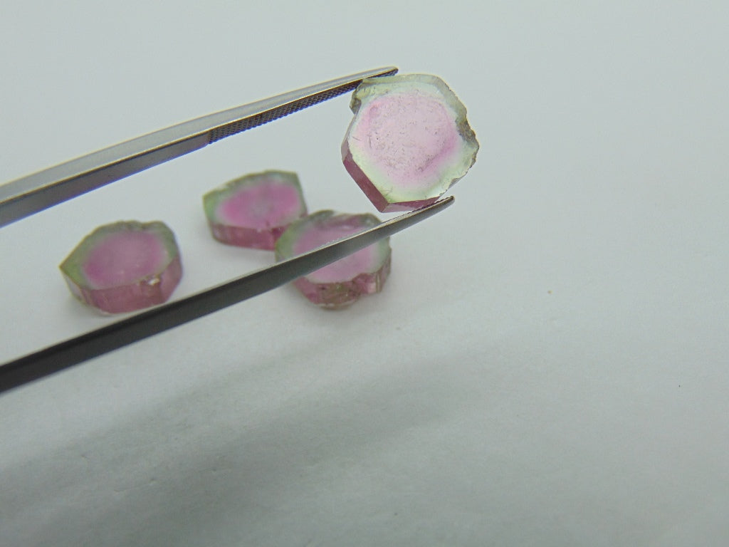22.25cts Watermelon Tourmaline