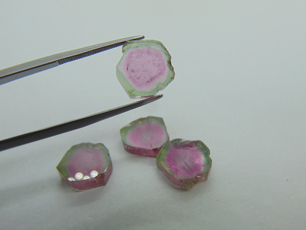 22.25cts Watermelon Tourmaline