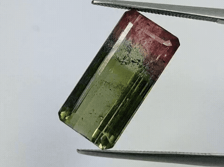 11.45ct Tourmaline Bicolor 19x9mm