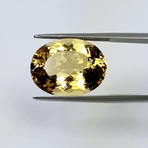13.90ct Beryl 19x14mm