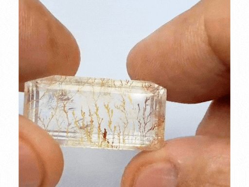 26.20ct Dendrite 25x13mm