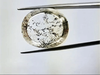 28ct Dendrite 23x20mm