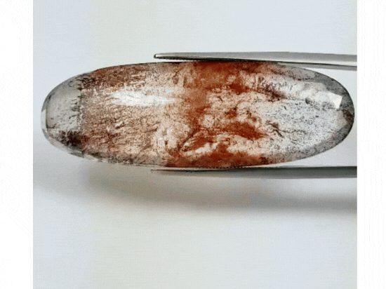 36.90ct Dendrite 46x16mm