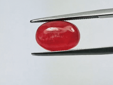 5.20ct Rhodonite Cabochon 12x8mm