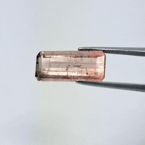 7ct Tourmaline Bicolor 17x8mm