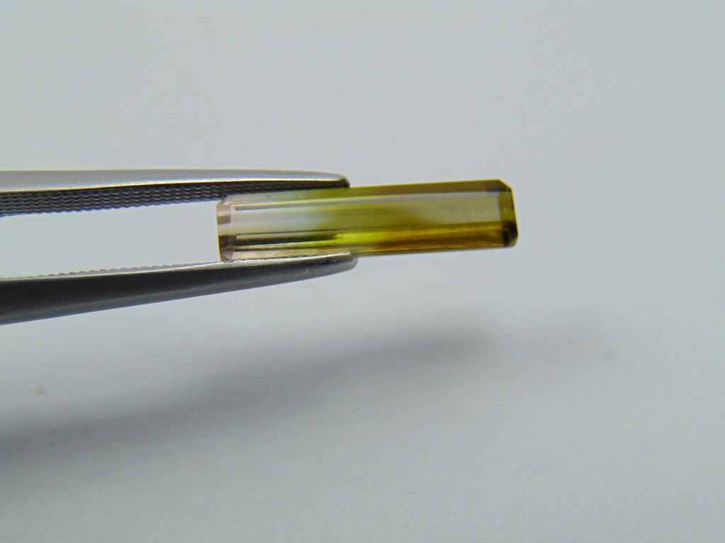 1.50ct Tourmaline Bicolor 15x3mm