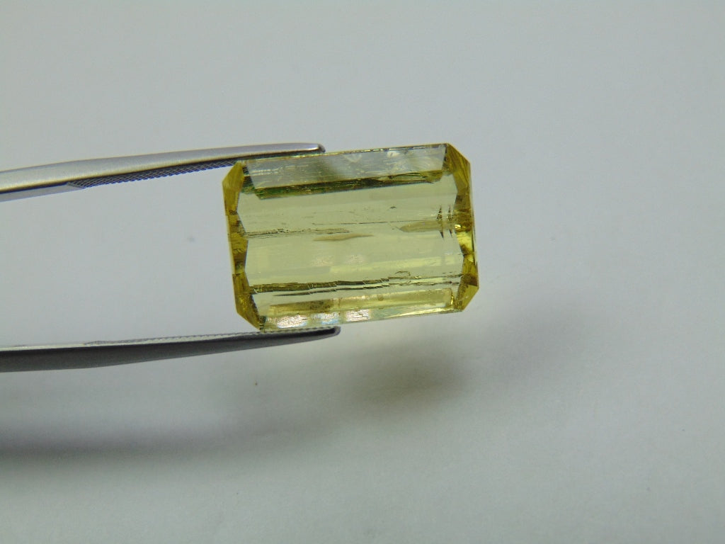 11.95ct Beryl 17x13mm