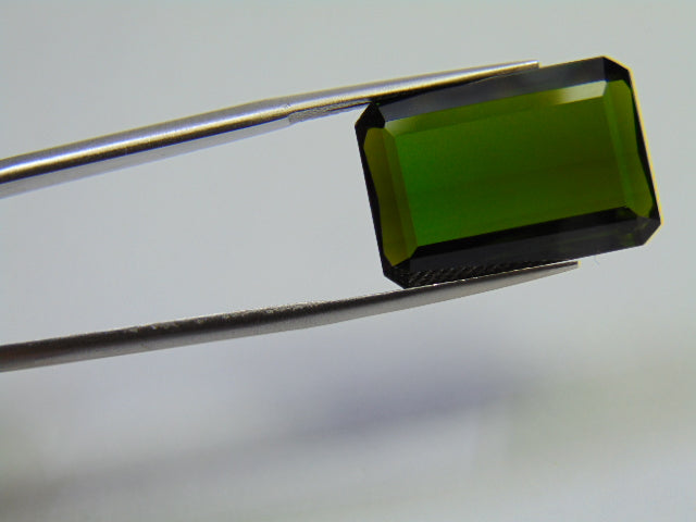 16.20ct Tourmaline 19x13mm