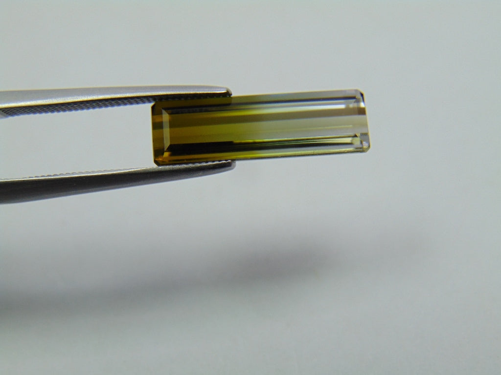 3.20ct Tourmaline Bicolor 17x5mm