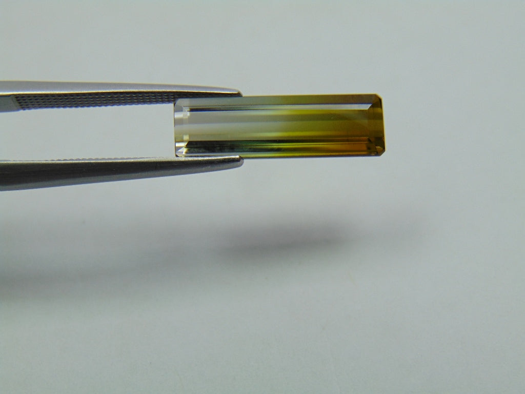 3.20ct Tourmaline Bicolor 17x5mm