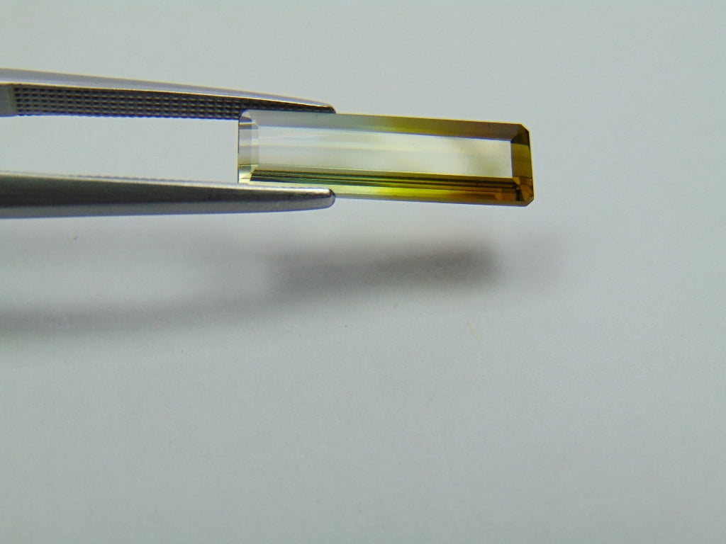 3.20ct Tourmaline Bicolor 17x5mm