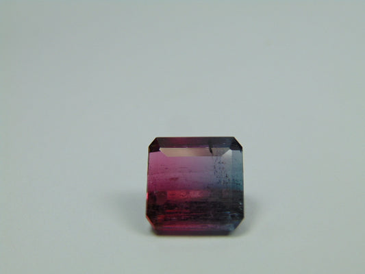 11.60ct Tourmaline Bicolor 13mm