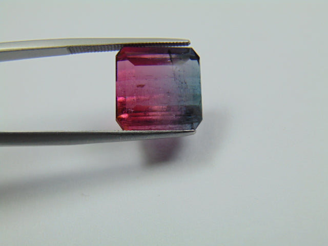11.60ct Tourmaline Bicolor 13mm