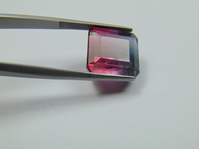11.60ct Tourmaline Bicolor 13mm