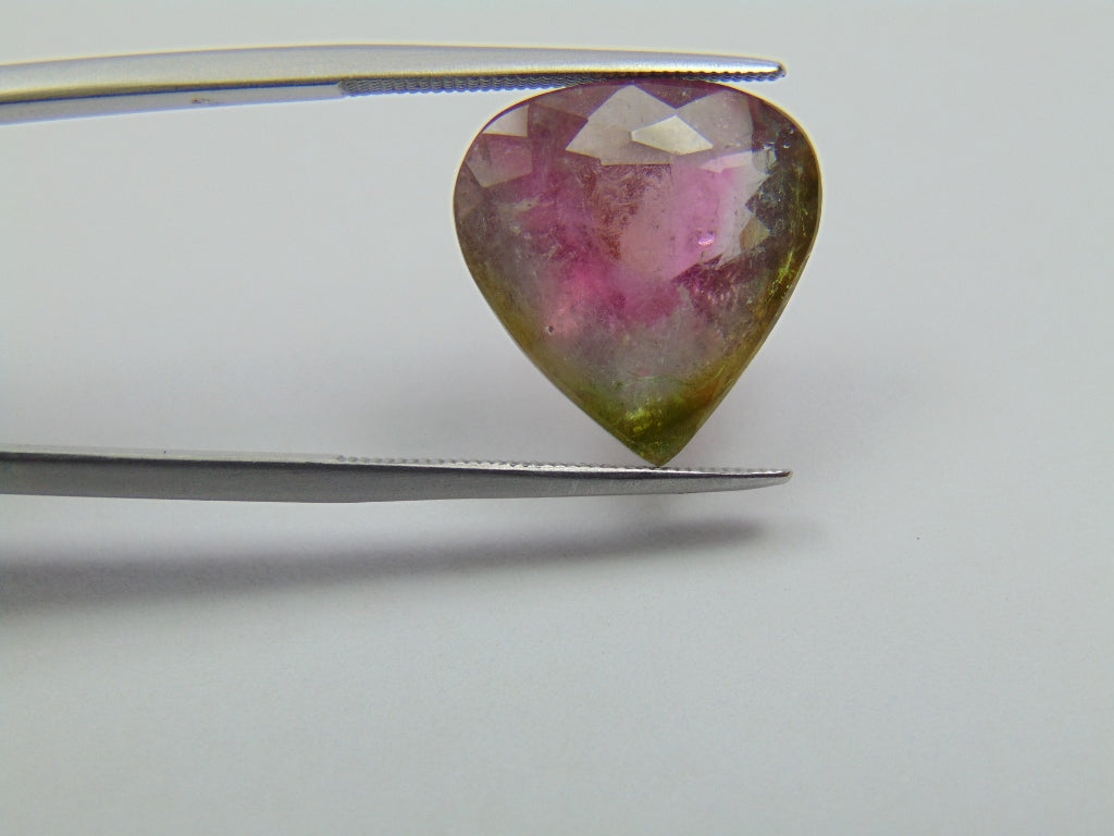 11.85ct Tourmaline Bicolor 16x15mm