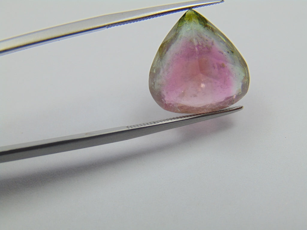 11.85ct Tourmaline Bicolor 16x15mm