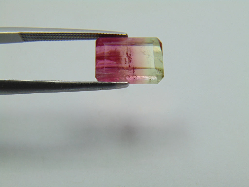 5.50ct Tourmaline Bicolor 11x8mm