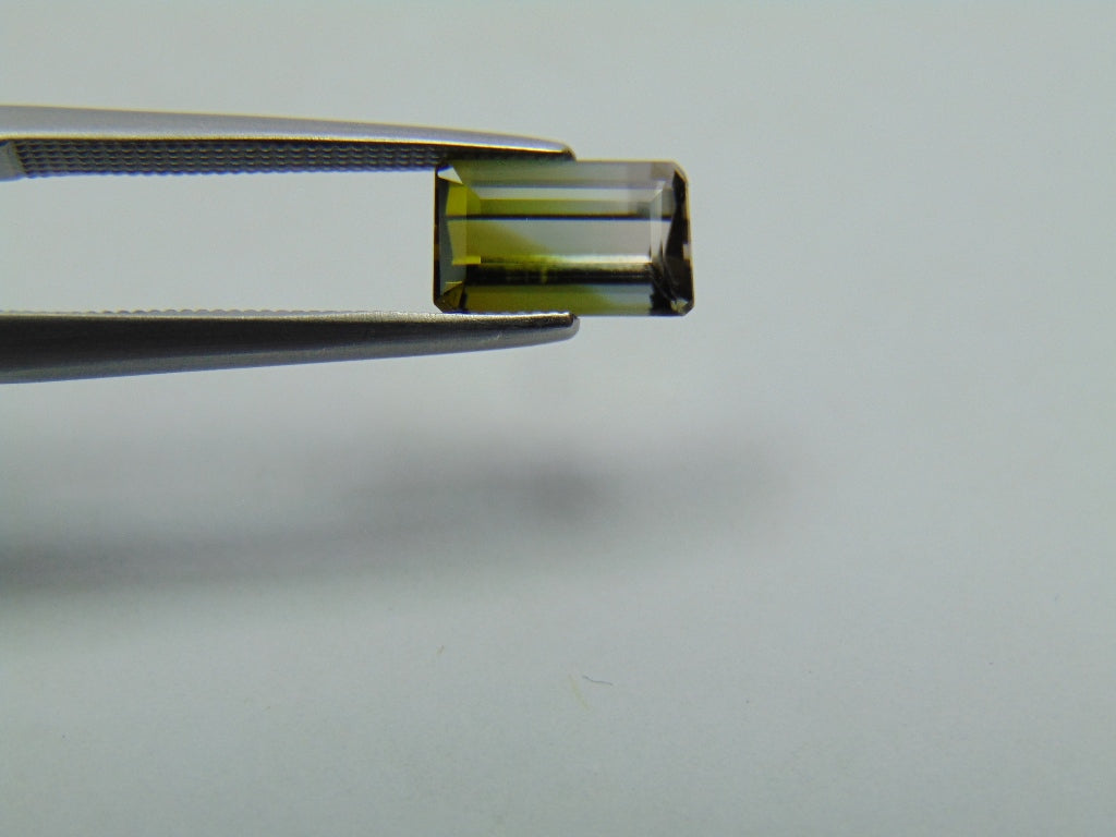 1.65ct Tourmaline Bicolor 8x5mm