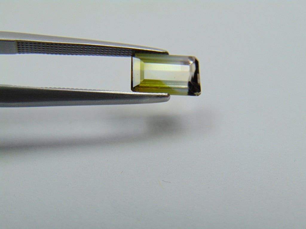 1.65ct Tourmaline Bicolor 8x5mm