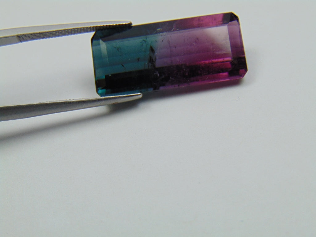 16.10ct Tourmaline Bicolor 24x12mm