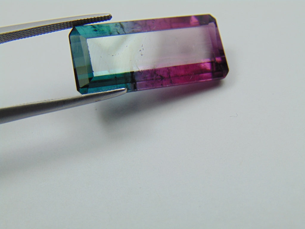 16.10ct Tourmaline Bicolor 24x12mm