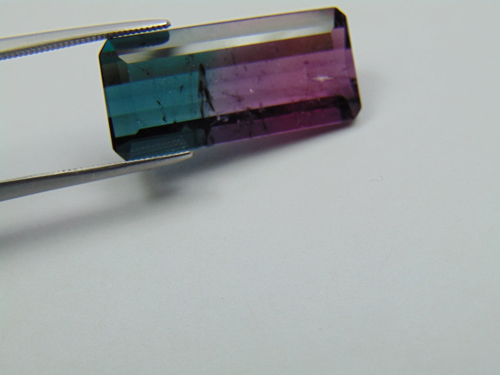 16.10ct Tourmaline Bicolor 24x12mm