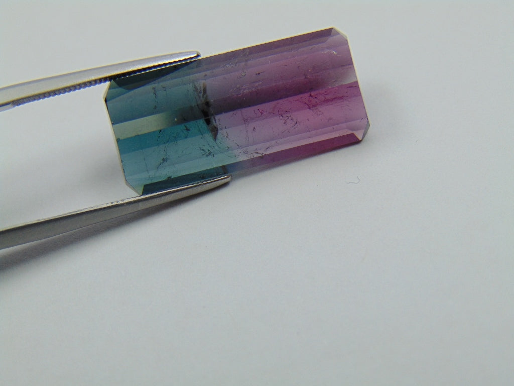 16.10ct Tourmaline Bicolor 24x12mm