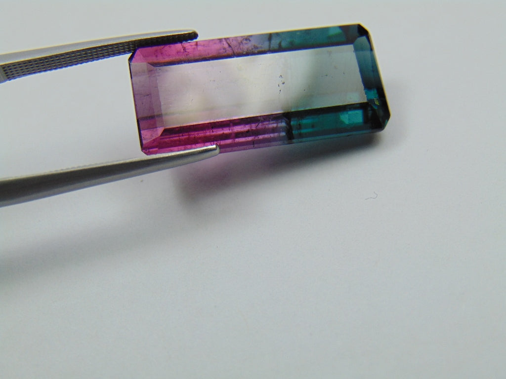 16.10ct Tourmaline Bicolor 24x12mm