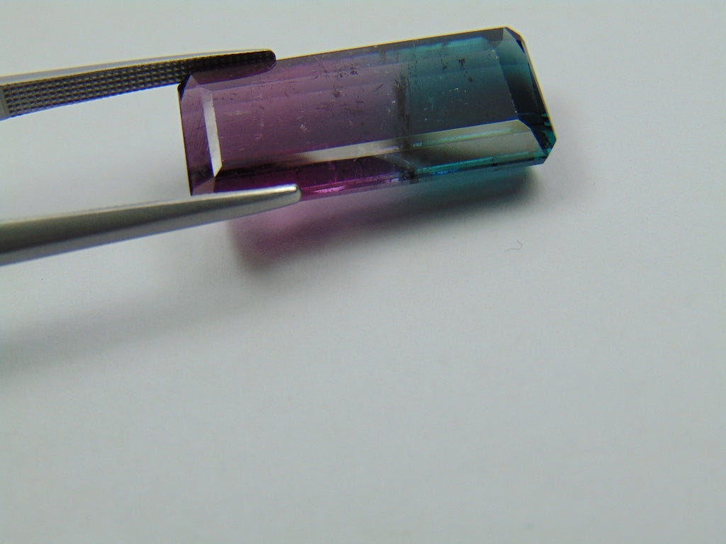 16.10ct Tourmaline Bicolor 24x12mm