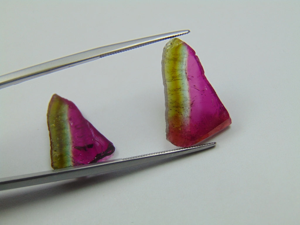 14.15ct Watermelon Tourmaline Pair 21x13mm