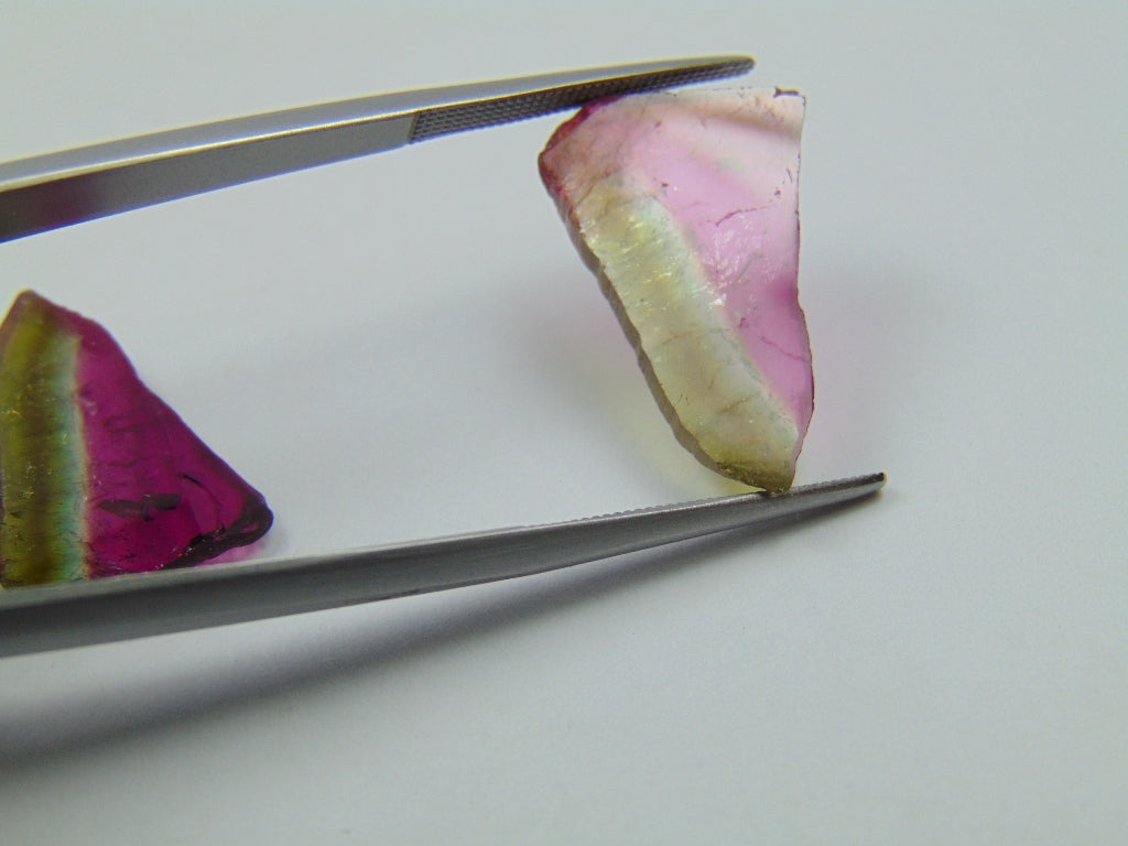 14.15ct Watermelon Tourmaline Pair 21x13mm