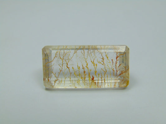 26.20ct Dendrite 25x13mm