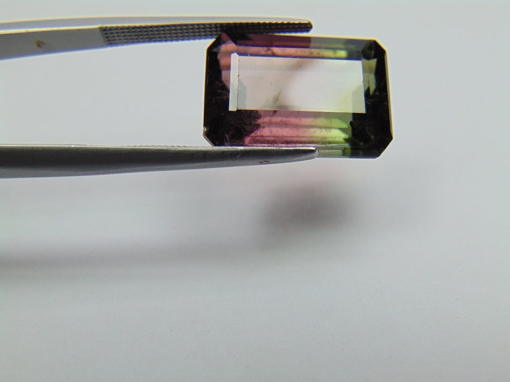 13.10ct Tourmaline Bicolor 16x12mm