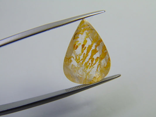 10.10ct Dendrite 20x14mm