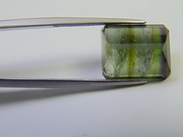 9.30ct Tourmaline Bicolor 13x11mm