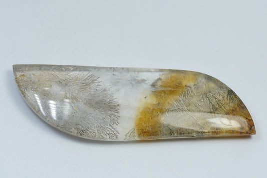 89.95ct Dendrite 71x22mm