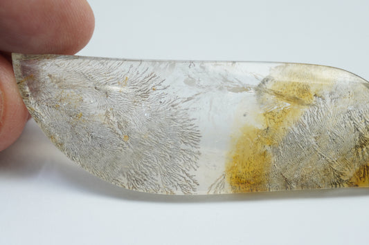 89.95ct Dendrite 71x22mm