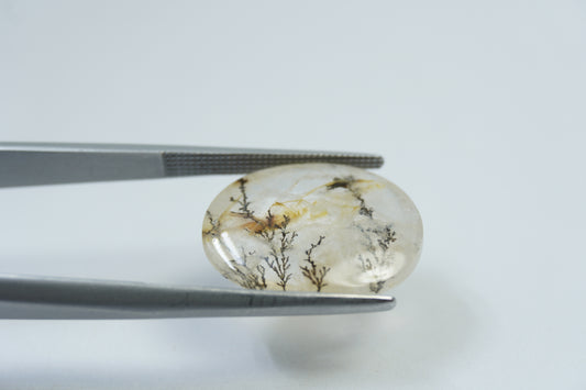 9.15ct Dendrite 18x13mm