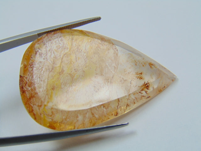 59.30ct Dendrite 43x29mm